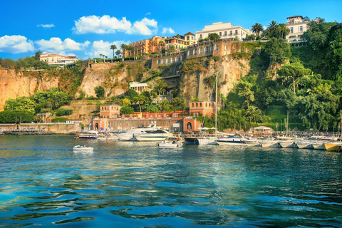 Naples: Sorrento and Pompeii Day Trip with Private Driver