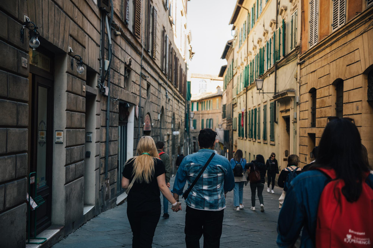 Florence: Pisa, San Gimignano, Siena & Chianti Private Tour Private Tuscany Tour