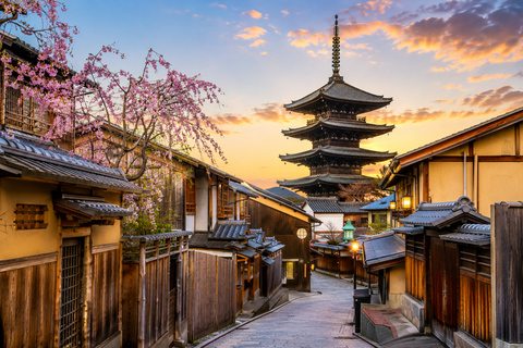 Kyoto/Osaka: Kyoto and Nara Private & Customizable Day Tour