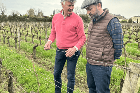 Château St-Emilion Grand Cru visit and Grand Cru and Pomerol tasting