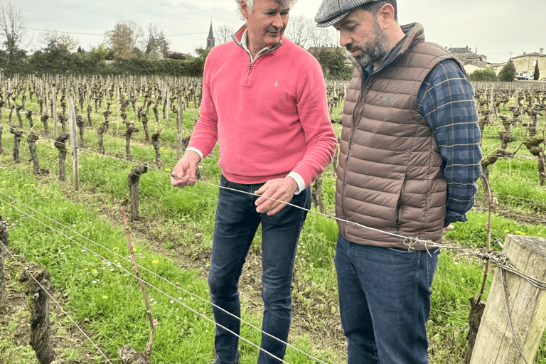 Château St-Emilion Grand Cru visit and Grand Cru and Pomerol tasting