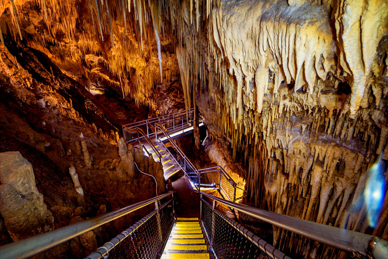 Hobart: Tour di un giorno intero del Tahune Airwalk e delle grotte di Hastings