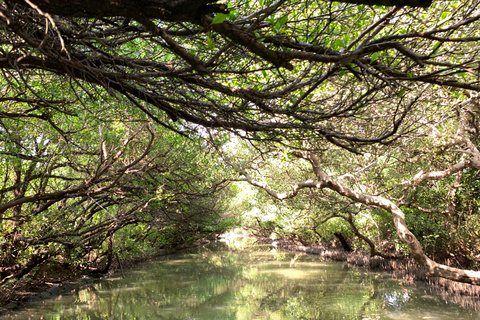 Wirtualna wycieczka po głównych atrakcjach Tajwanu