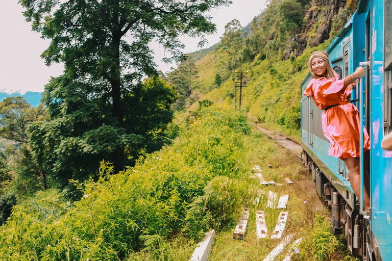 Kandy: Nanu Oya Scenic First Class Railway Experience