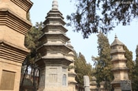 Zhengzhou, tour guidato privato/trasferimento nel tempio di Shaolin - Housity