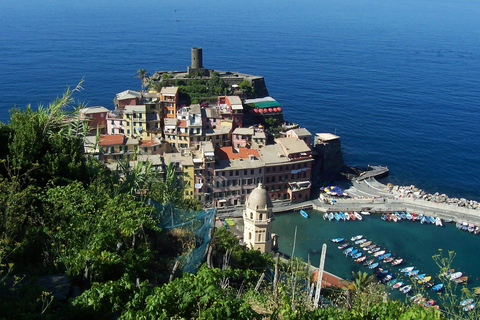 Vernazza: Olive Grove Tour and 5 Terre Olive Oil and Wine Tasting Vernazza (5 Terre): olive grove tour and oil and wine tasting