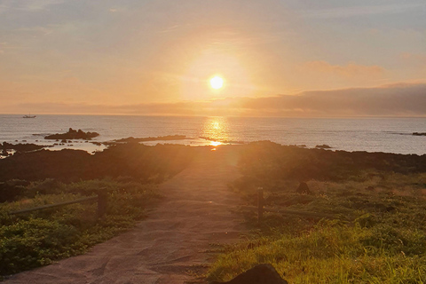 Jeju: ruta de senderismo por un pequeño volcán al amanecer (3 horas, recogida)Jeju: Sunrise Small Volcano Hike (3 Hours, Pick-up)