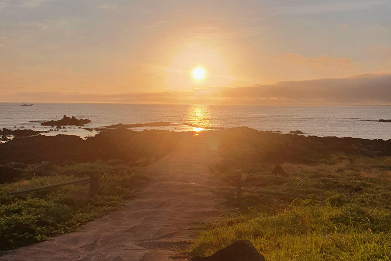 Jeju: ruta de senderismo por un pequeño volcán al amanecer (3 horas, recogida)Jeju: Sunrise Small Volcano Hike (3 Hours, Pick-up)