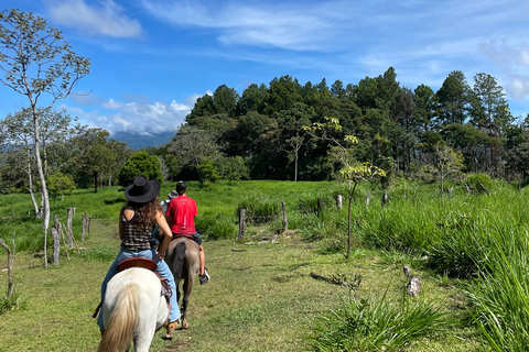Epic Cloud Forest Horseback Riding Adventure in Boquete