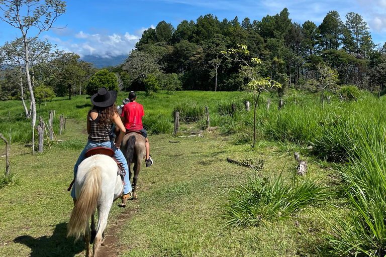 Epic Cloud Forest Horseback Riding Adventure in Boquete