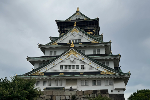 Osaka: Un tour guidato a piedi privato di 5 luoghi da vedere assolutamente