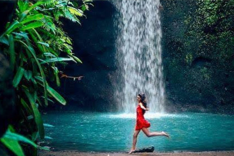 Bali: All-Inclusive Ubud Highlights Tour
