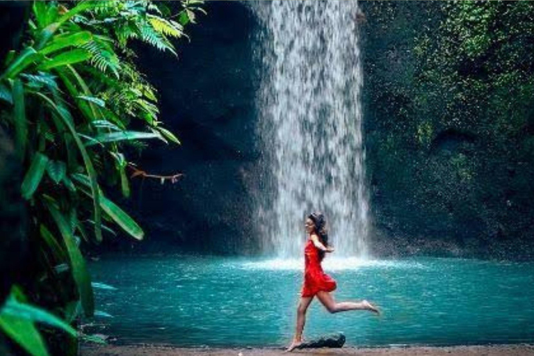 Bali: All-Inclusive Ubud Highlights Tour