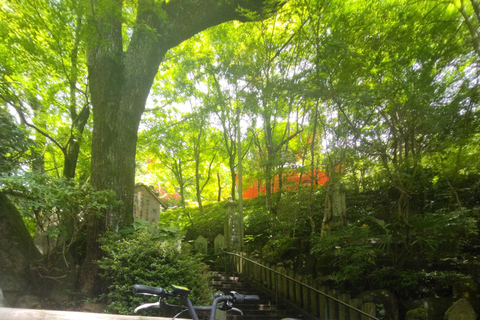 Hiroshima: Parque de la Paz, castillo y templo Mitaki en bicicleta eléctricaHiroshima: Parque de la Paz, Castillo y Templo Mitaki Recorrido en Bicicleta Eléctrica