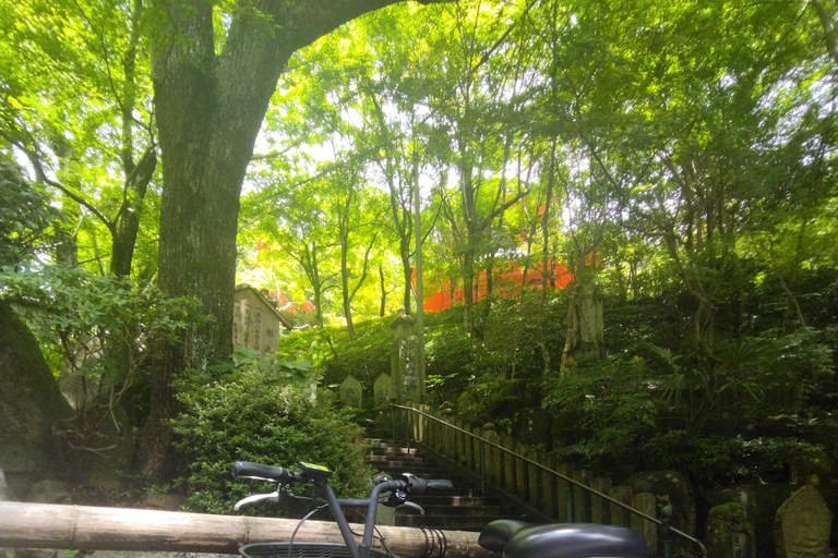 Hiroshima: Parque de la Paz, castillo y templo Mitaki en bicicleta eléctricaHiroshima: Parque de la Paz, Castillo y Templo Mitaki Recorrido en Bicicleta Eléctrica