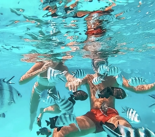 Snorkeling and swimming with dolphins at mnemba island