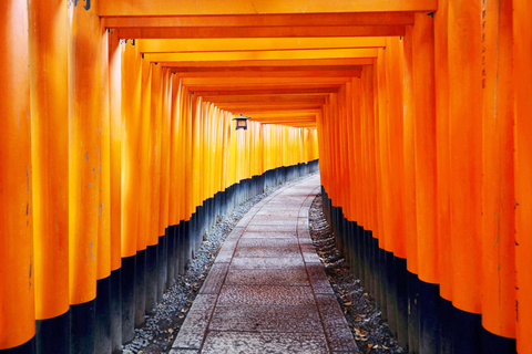 Day Tour to Arashiyama Nara Park and Fushimi Inari Taisha Depart From Osaka
