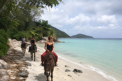 Seychelles: Private Jungle and Beach Horse Riding Tour