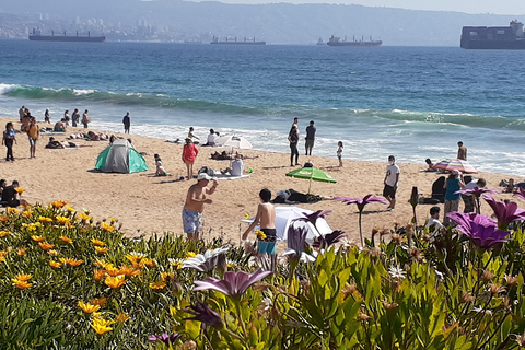 比尼亚德尔马、雷尼亚卡和康康之旅