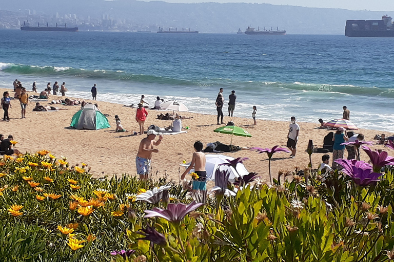 比尼亚德尔马、雷尼亚卡和康康之旅