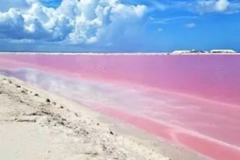 Las Coloradas + Rio Lagartos Private TourGruppe von 5 Personen