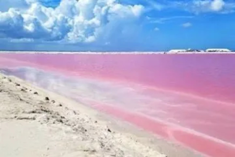 Las Coloradas + Rio Lagartos Private tour Group of 3 People