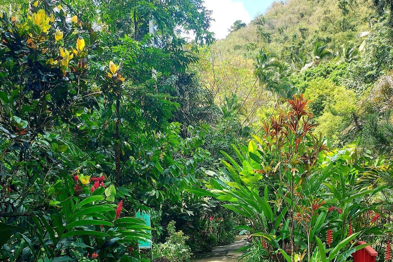 St. Lucia: Aanpasbare privédagtour met chauffeur