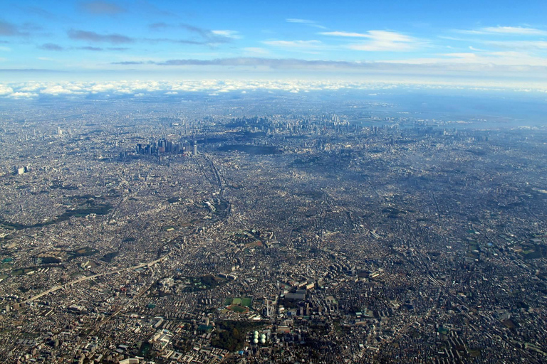 Tour privato di un giorno a Tokyo con guida in inglese