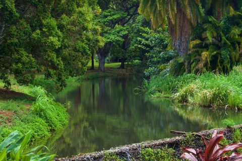 Kauai : Carte journalière pour le jardin McBrydeMcBryde Garden: carte journalière