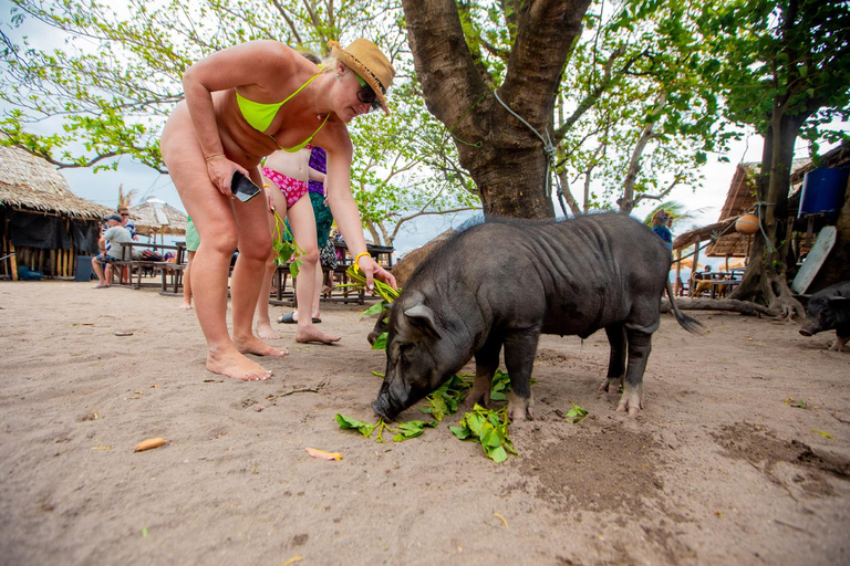 Koh Samui: Avvistamento dei delfini rosa e tour in motoscafo dell&#039;isola di Pig