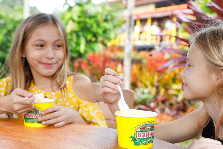 Oahu: Haleiwa &amp; Dole Plantation Deluxe Tour
