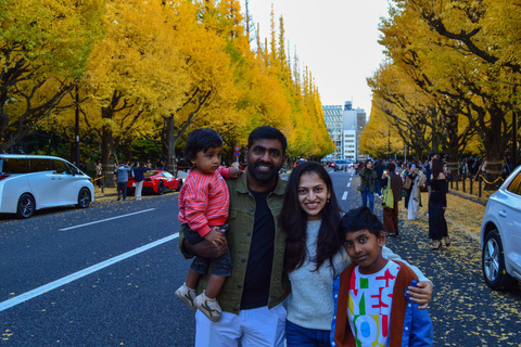 Tokyo: Golden Ginkgo Avenue Autumn Leaves Walk