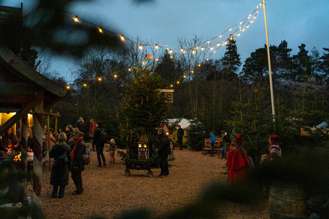 Einzigartiger Weihnachtsmarkt in der Altstadt von Aarhus