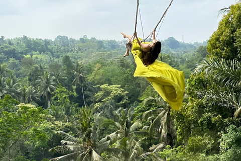Bali: Private Jungle Swing, Waterfall & Rice Paddy Tour Private Tour with Entrance Fess
