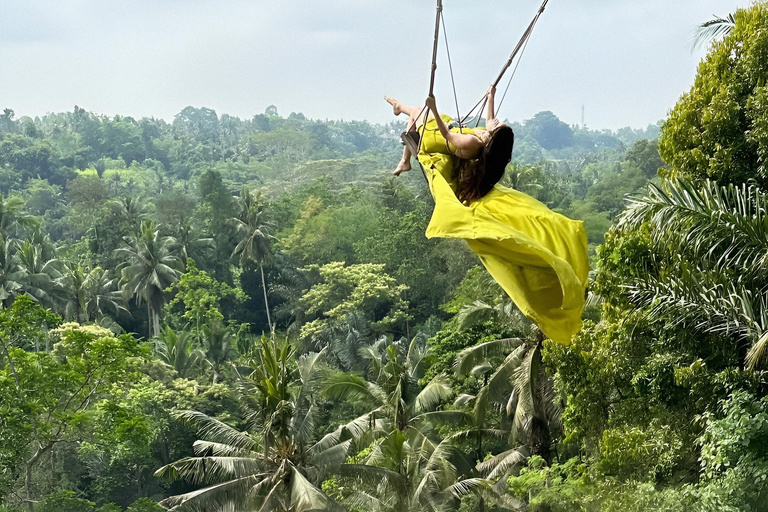 Bali: Private Jungle Swing, Waterfall & Rice Paddy Tour Private Tour with Entrance Fess