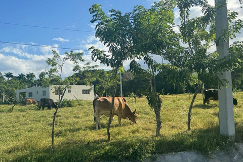 Puerto Plata: Real Estate Exploration Tour