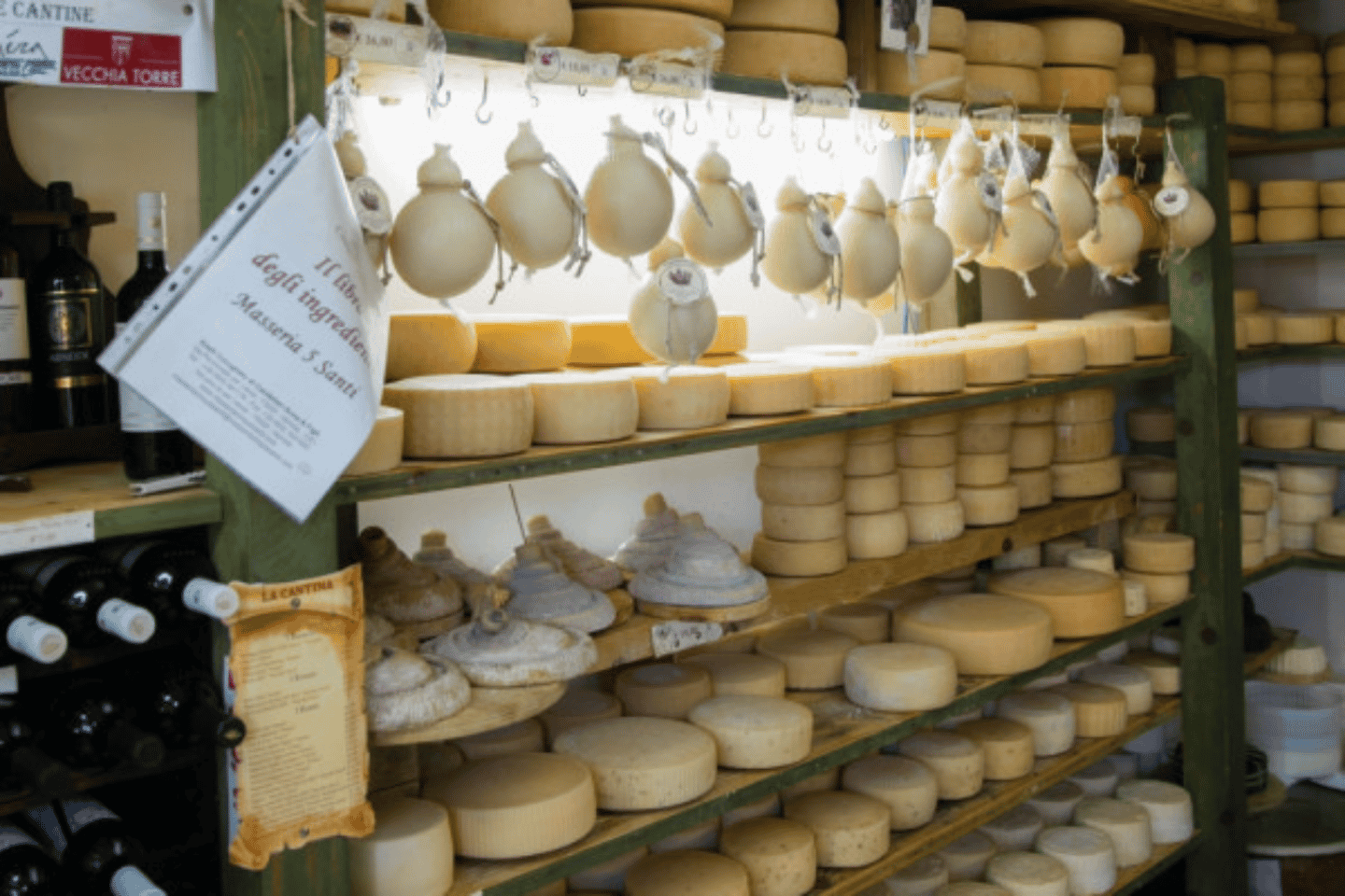 亲手制作莫扎里拉：农场体验之旅