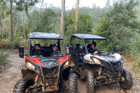 Madeira: Private Off-Road Buggy Driving Experience