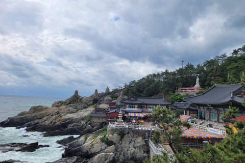 Busan: Private Shore Excursion with Licensed Local Guide