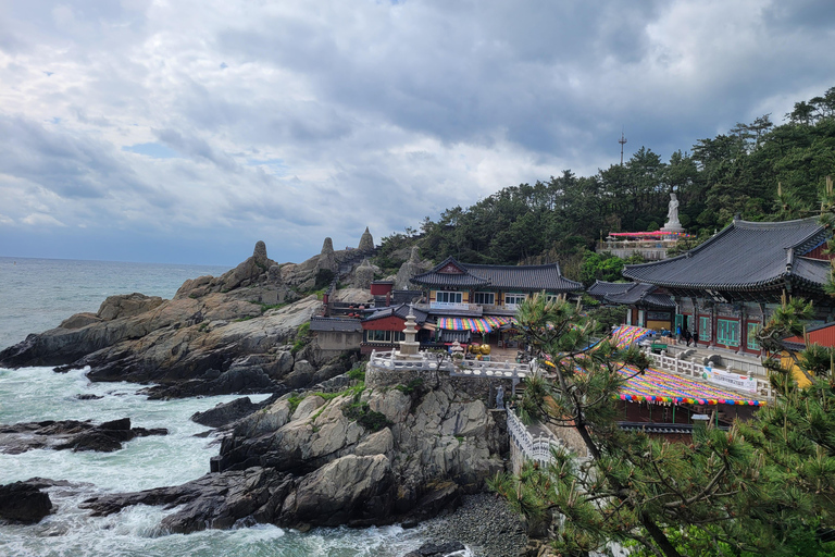Busan: Private Shore Excursion with Licensed Local Guide