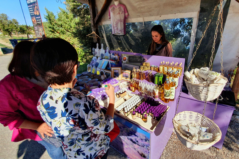 Hvar: Escursione di un giorno da Spalato con degustazione di viniHvar: Escursione di un giorno da Spalato con degustazione di vino