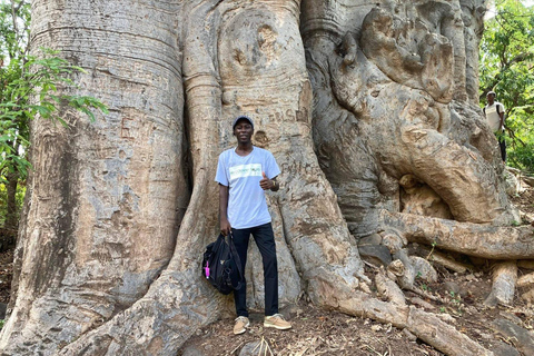 From Praia: Serra Malagueta Hike and Tarrafal Beach Day Trip