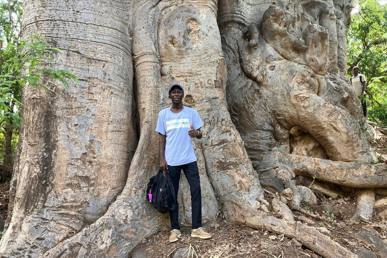 From Praia: Serra Malagueta Hike and Tarrafal Beach Day Trip