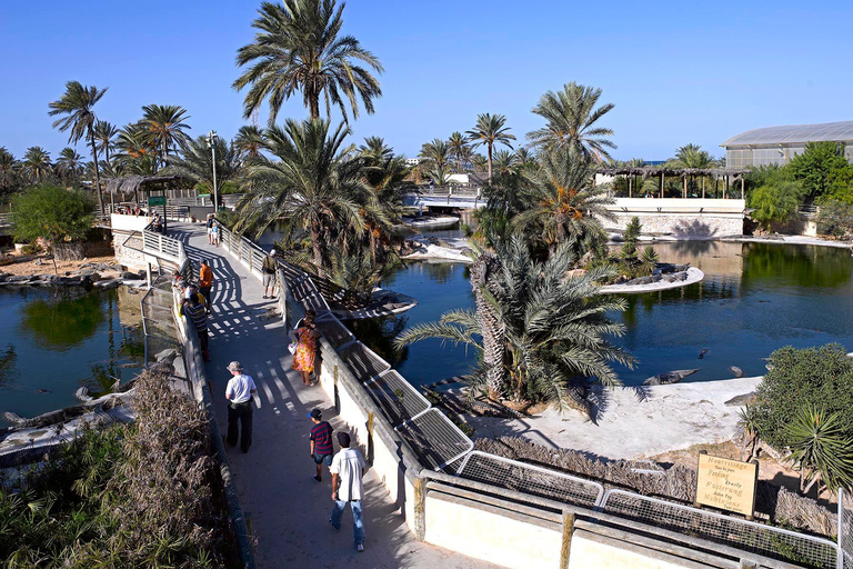 Djerba: Kutschfahrt zum Krokodilpark.