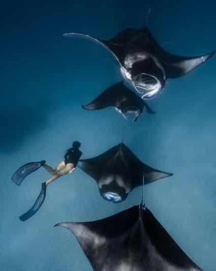 Vanaf Bali: Nusa Penida Dagtour & Snorkelen