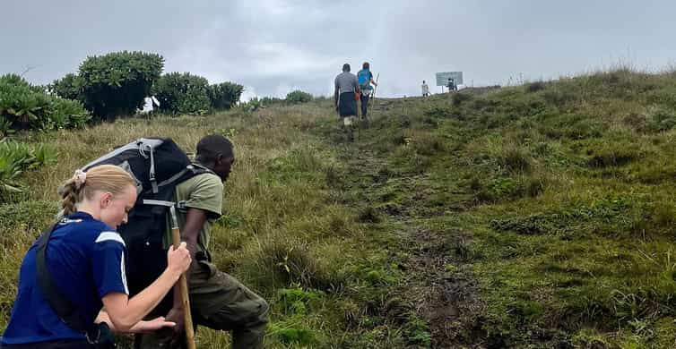 Bisoke Hike At The Volcanoes National Park GetYourGuide