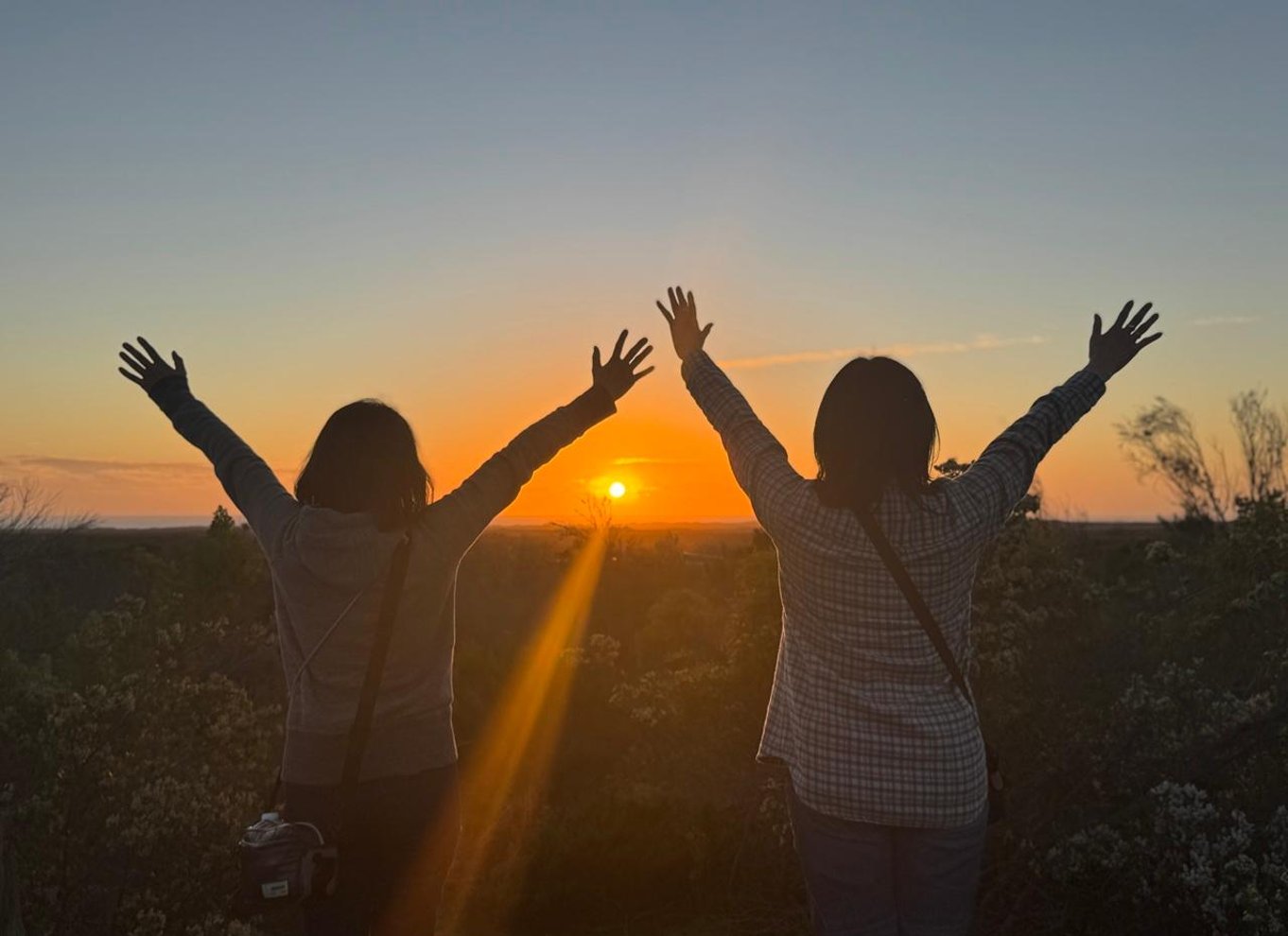 Perth: Solnedgang og stjernekiggeri i Pinnacles Desert med middag