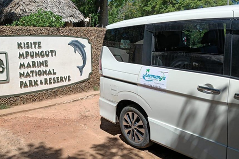 Wasini Dolphin Safari & Kisite Marine Park Dhow Day Trip