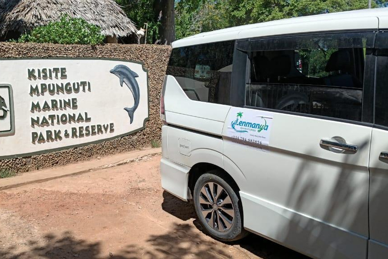 Wasini Dolphin Safari & Kisite Marine Park Dhow Day Trip