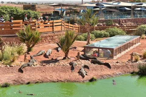 Agadir: Entreebewijs Crocopark &amp; Tour geit op boom zienOphaalservice vanaf Agadir